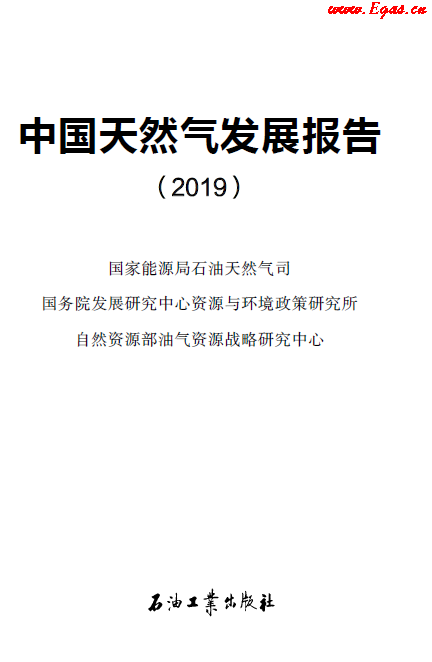 2019中國(guó)天然氣發(fā)展報(bào)告.png