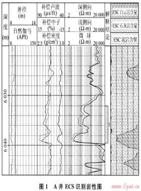元素俘獲譜測(cè)井在儲(chǔ)層評(píng)價(jià)中的應(yīng)用