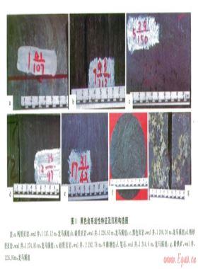 滇東北黑色巖系儲層特征及含氣性控制因素